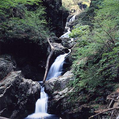 妙見五段の滝