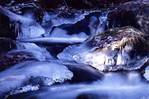 �����ΰ��������ë