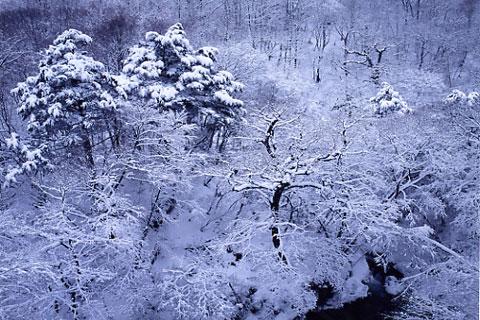 ������ë���㲽��