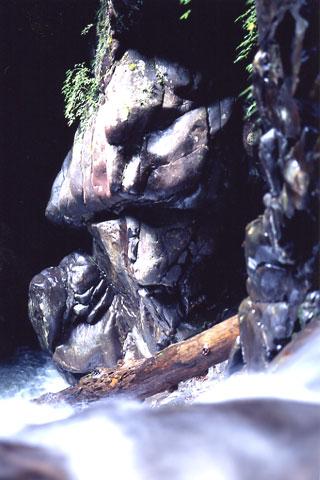 �����ë�����