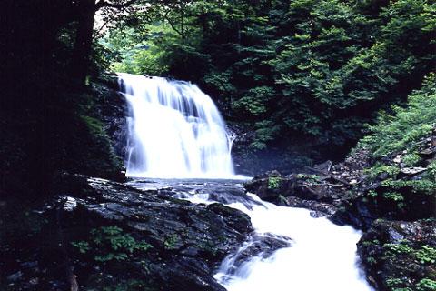 ������ư��