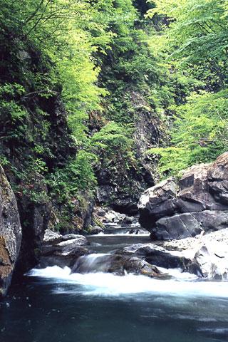 ���Ф�ή��