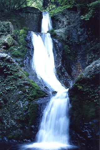 ���ó�����