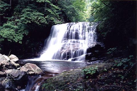 �й礤����