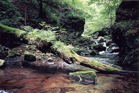 ε��ë�ε���