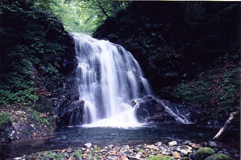 ��ϣ����