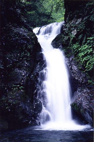 �䥽��������