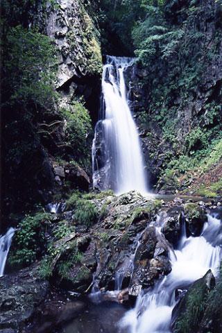 ε����ε������